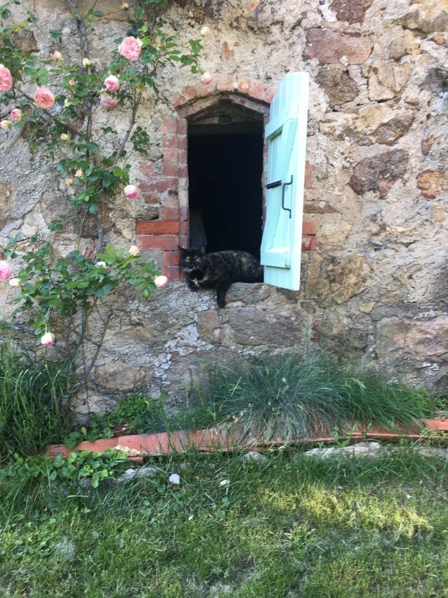 Gites De Gobertier Saint-Alban-d'Ay Eksteriør billede